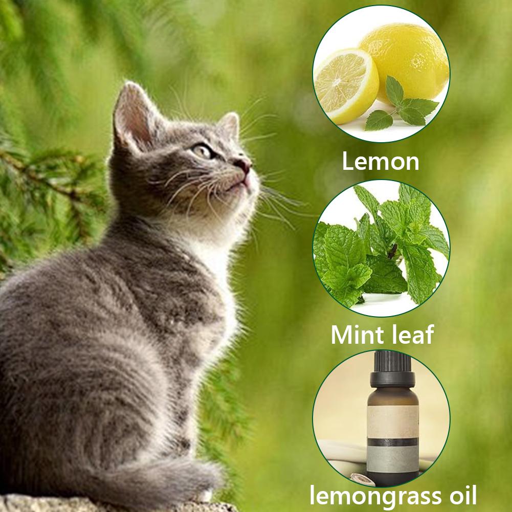 12Pcs Dog Deterrent Natural Peppermint Oil Cat & Dog Nature Repellent To Keep Cats Out of Yard