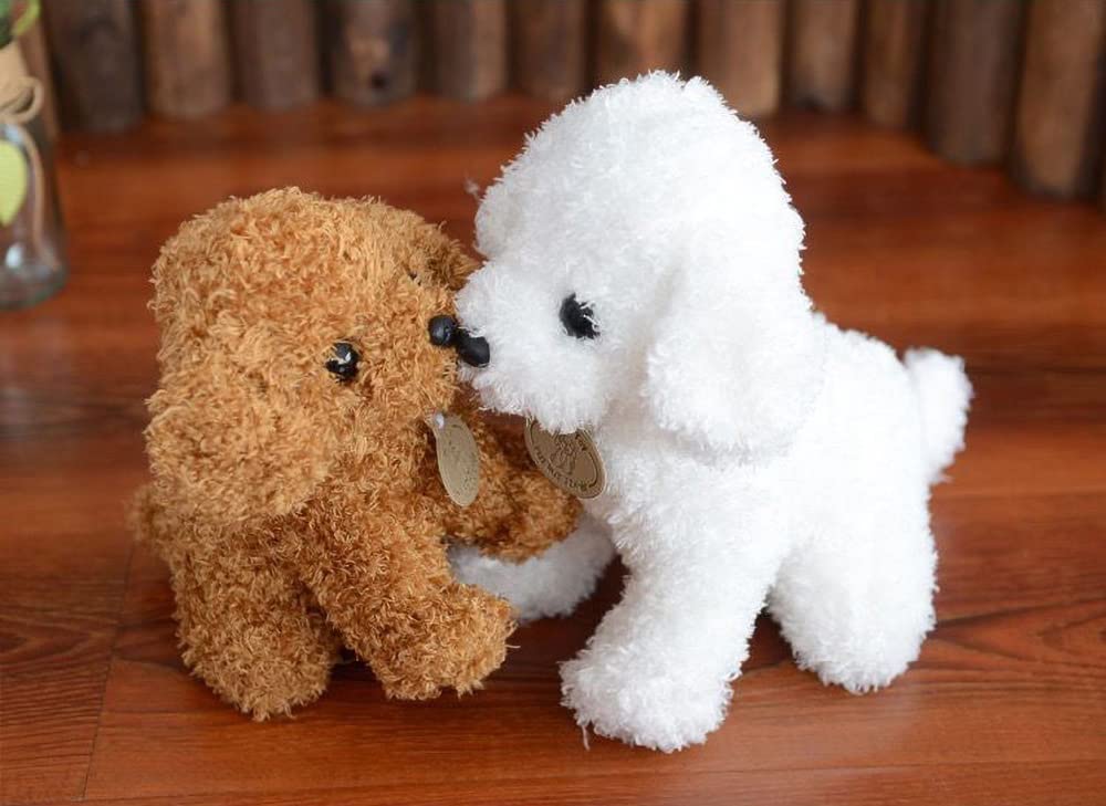 Big-eyed Toy Poodle Plush Toy (Toy Poodle A, 18cm)