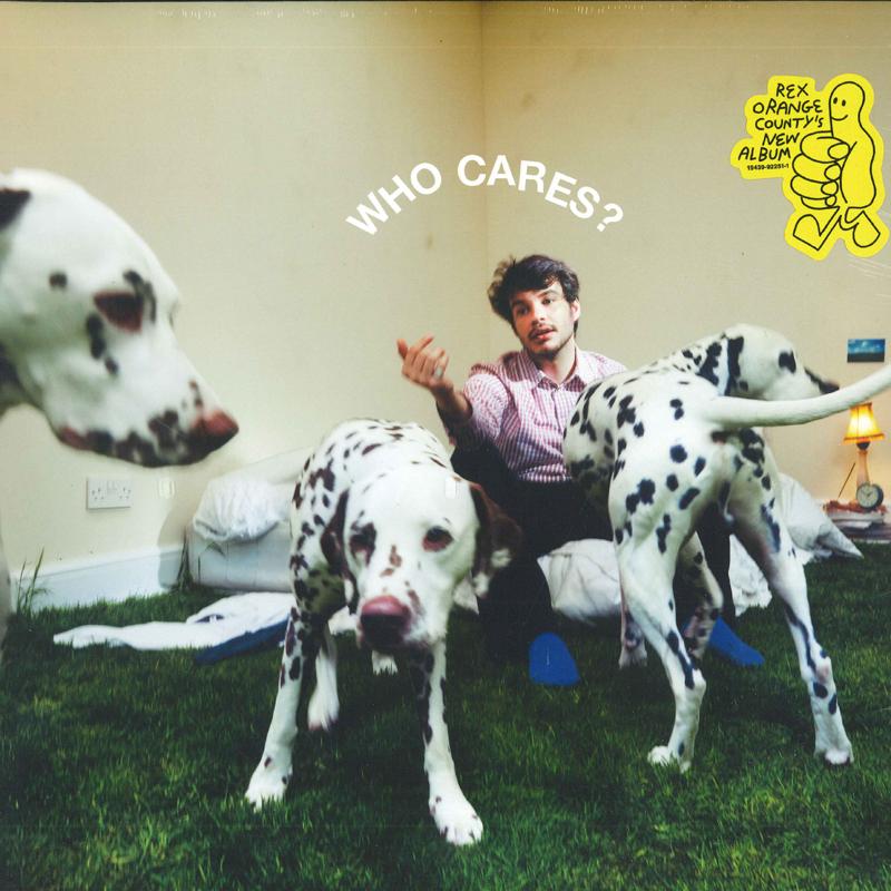 

LP Record REX ORANGE COUNTY - Who Cares 19439922511 Sony Music 2022 US Pop