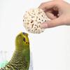 Vogelzubehör Zahnmahlwerk Wellensittiche Kauspielzeug Vogelspielzeug Sola Ball Interaktives Spielzeug Mahlspielzeug