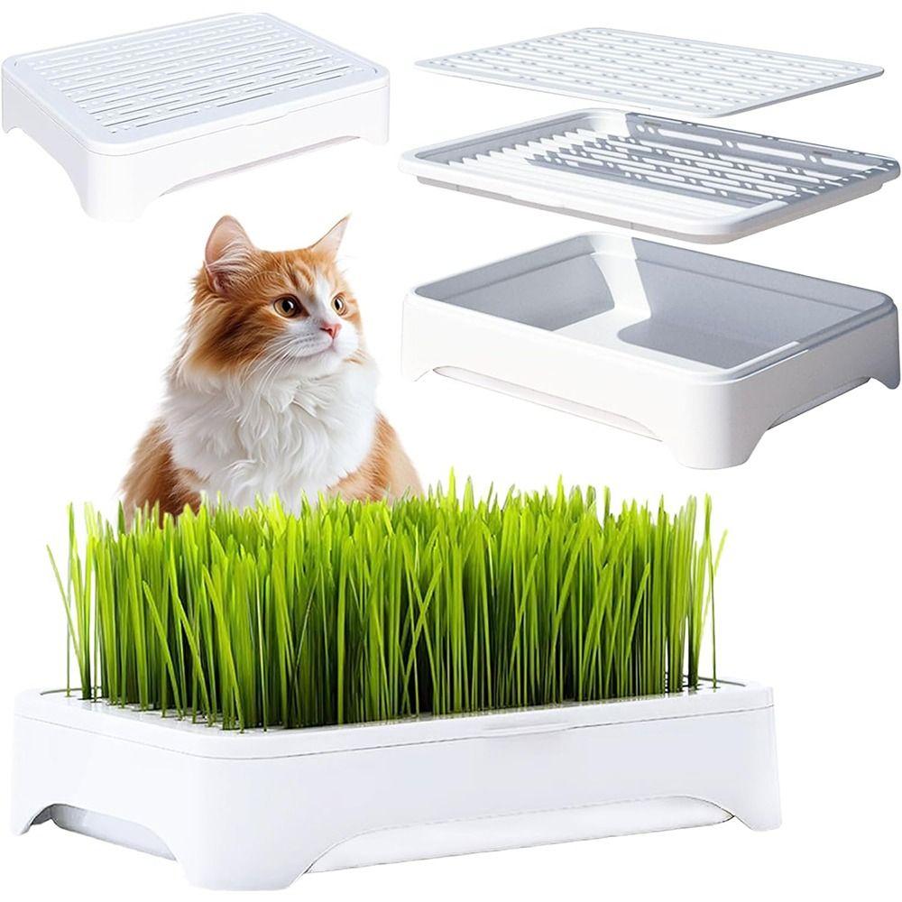 Anti-Pull Out Cat Grass Planter Plastic Soil-Free Nursery Box Growth Planter Home Gardening