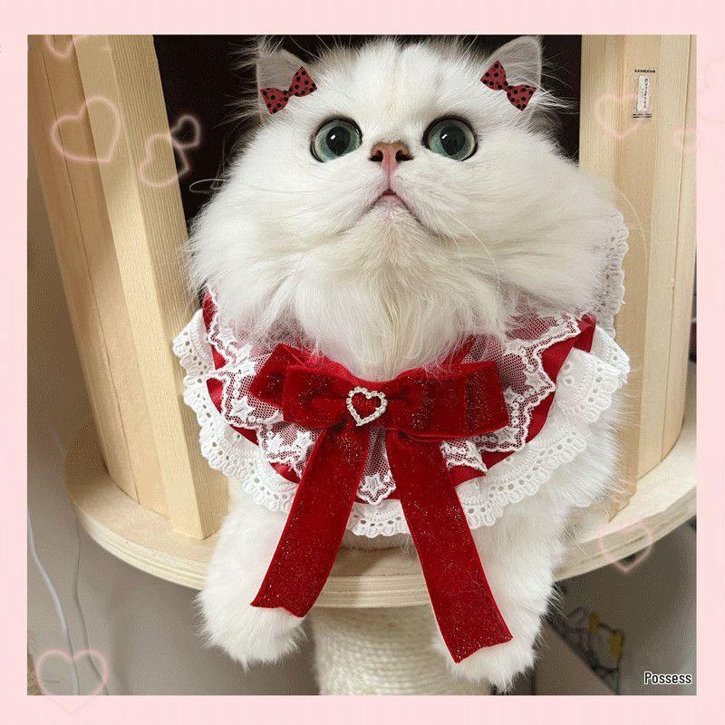 Festive Red Dog Bib Scarf for Weddings: Border Collie & Golden Retriever