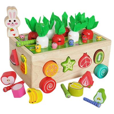 Mokugansha Montessori Educational Wooden Fruit Shape Farm Radish Magnetic Insect Catching Early Fingertip Christmas Kindergarten Toy, Shape-matching