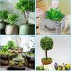 Artificial Moss for Crafts - 5.3oz Fake Moss for Potted Plants Indoor, Fairy Garden Decor, Model Making, Walls, Glass Containers | Realistic Faux