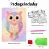 Frameless Pearl Painting Kit Owl Pattern DIY 3D Bead Canvas Art Relaxing Leisure Craft for Adults Wall Decor Gift