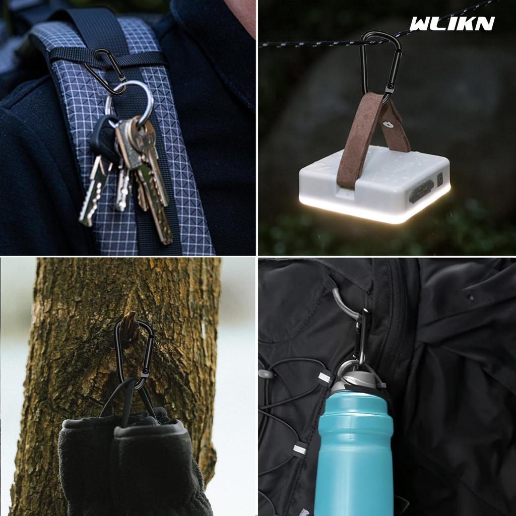 Wlikn Aluminum Alloy Carabiner Set of 10 Load Capacity 50KG