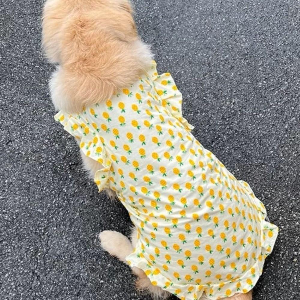Fruit Print Pet Princess Dresses Flutter Sleeve Dog Cooling Clothes Dog Floral Skirt  for Pet Party
