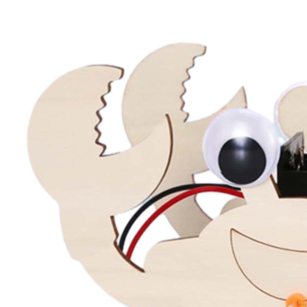 Project Model Educational Technology Assembled Electric Animal Scientific Experiment Equipment Set