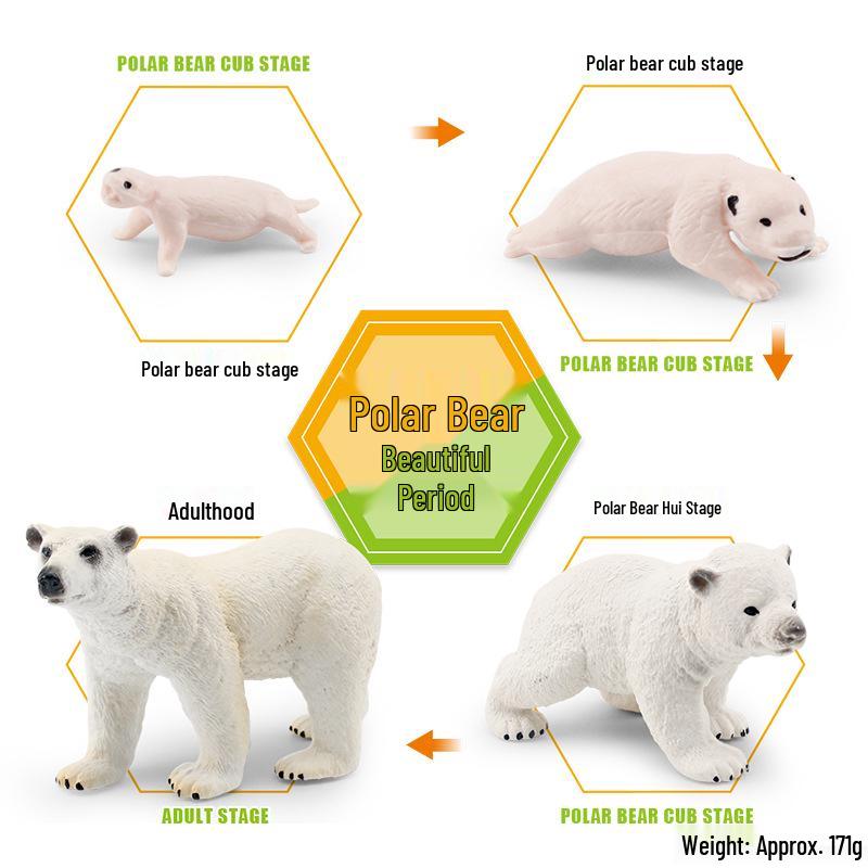 Animal Growth Cycle Models: Chicken, Duck, Goose, Butterfly, Turtle, Frog Montessori Teaching Figurines