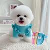 Autumn and Winter Pet Dog Dog Clothes Knitted Sweater Teacup Dog Bigbear Teddy Warm Pet Cat Small Dog Clothes