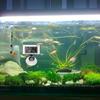 LCD Display Aquariums Thermometers with 30cm Depth Water Resistance For Saltwater  Freshwater Tanks With High Sensitivity