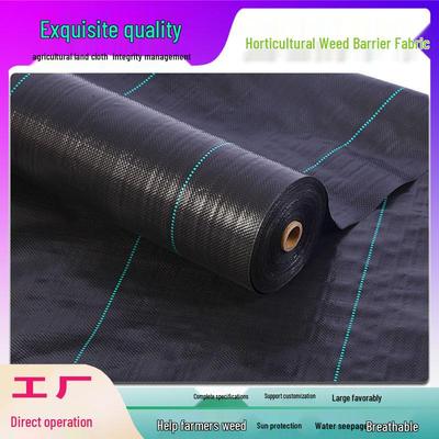 Black Weed Barrier: Breathable, Permeable Ground Cover Fabric for Weed Control In Gardens and Orchards.