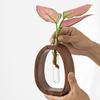 Solid Walnut Frame Hydroponic Glass Vase Modern Water Planter for Desk Flower Arrangement Flowerpot for Home Hotel Decor