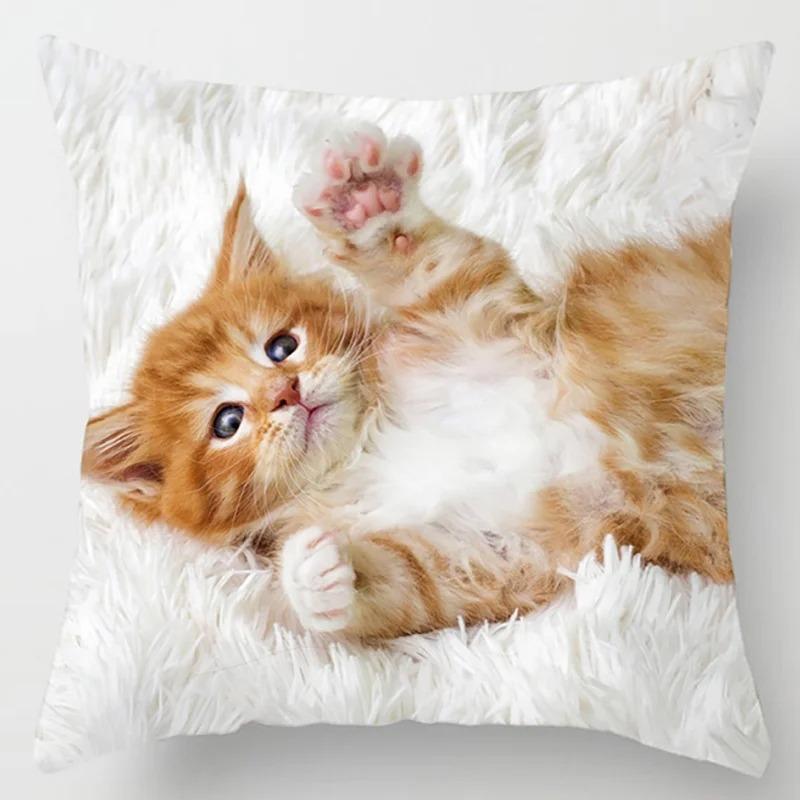 Süße Katze Umarmungskissenbezug Haustier Interaktive Illustration Kissen Heilende Heimdekoration Sofakissen