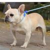 150cm Câine de Antrenament Câine Cordon Rotund Ușor Nylon P Zgardă Reglabilă pentru Câini Mici Medii Lesă de Plimbare Accesorii Animale de Companie