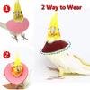 QBLEEV 4Pack Pet Parrot Anti-bite E-Collars, Anti-Grab Feather Plucking Wound Healing Safety Elizabethan Collar, Protective Recovery Cones for