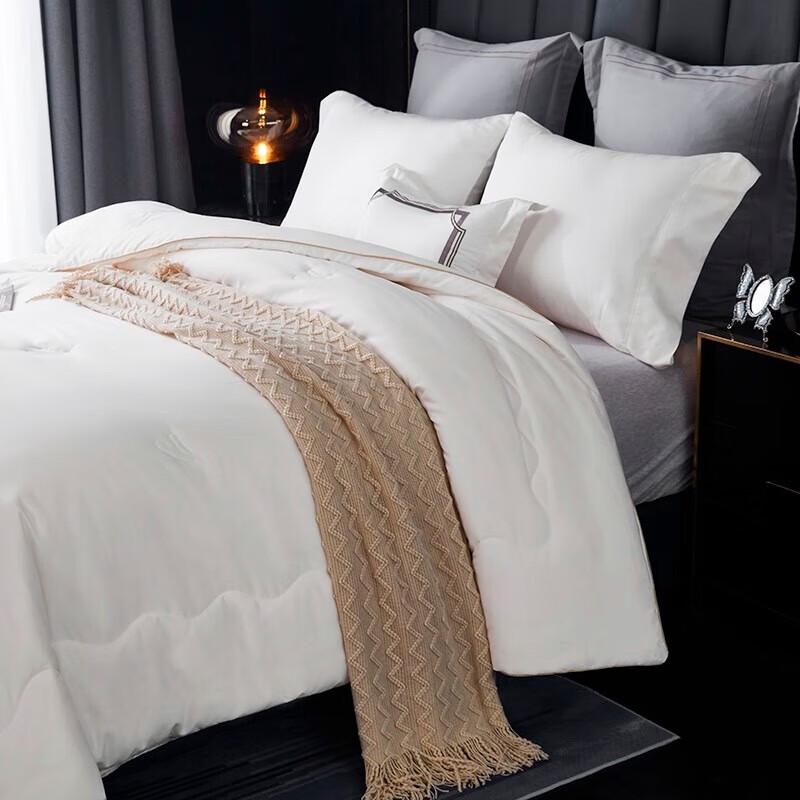 Tangna Selected Soybean Fiber Antibacterial Quilt