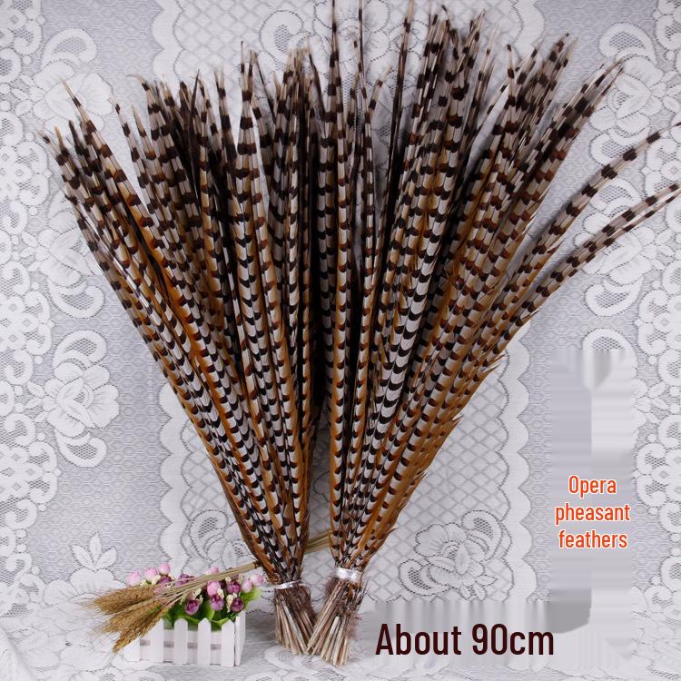 Pheasant Feather Long Plumes for Peking Opera Performance - Sun Wukong Theme