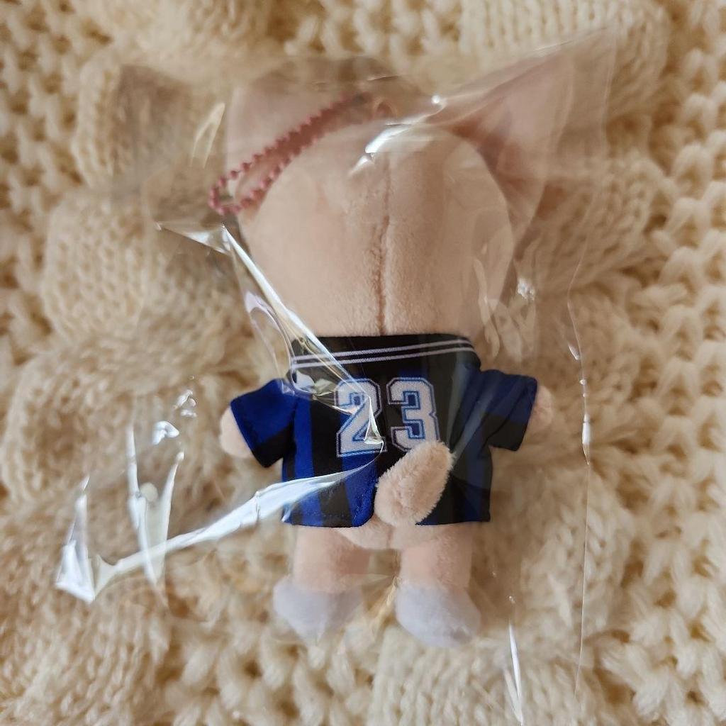 [USED] Stray Kids KARMA SKZOO Keyring FoxI.Ny