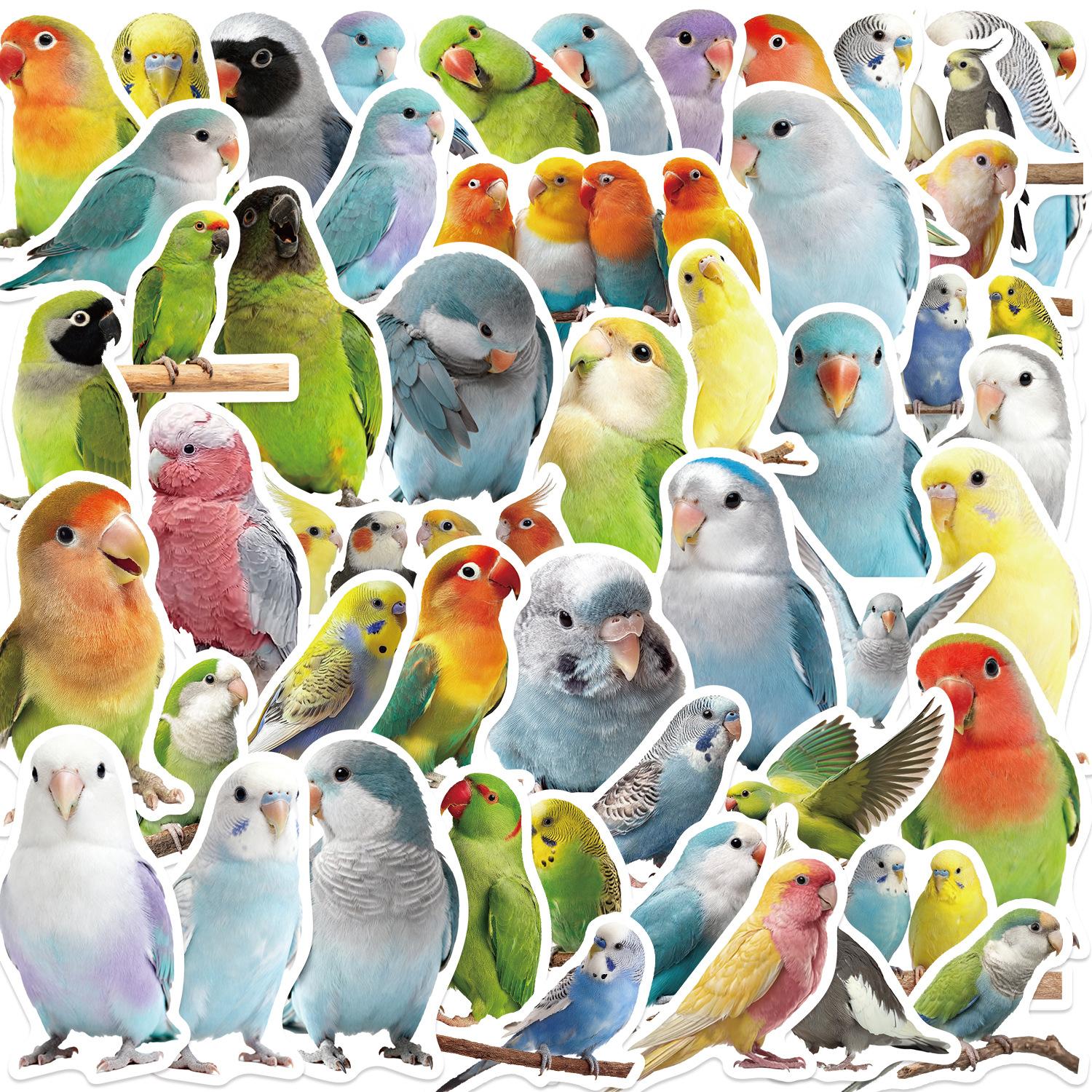 

50PCS Cute Cartoon Parrot Graffiti Stickers Waterproof Vinyl Decals for Guitar Notebook Luggage DIY Decoration