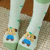 Kakao Friends Daily Socks Healing_Chunshik