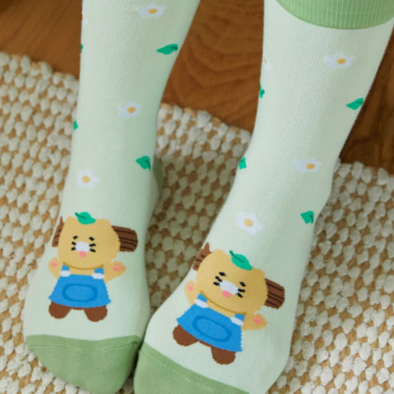 Kakao Friends Daily Socks Healing_Chunshik