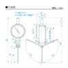 Niigata Seiki SK Dial Ruby Long Measuring Graduation Indicator, Ball, Probe, 0-0.8mm, 0.01mm, WTI-8038RL
