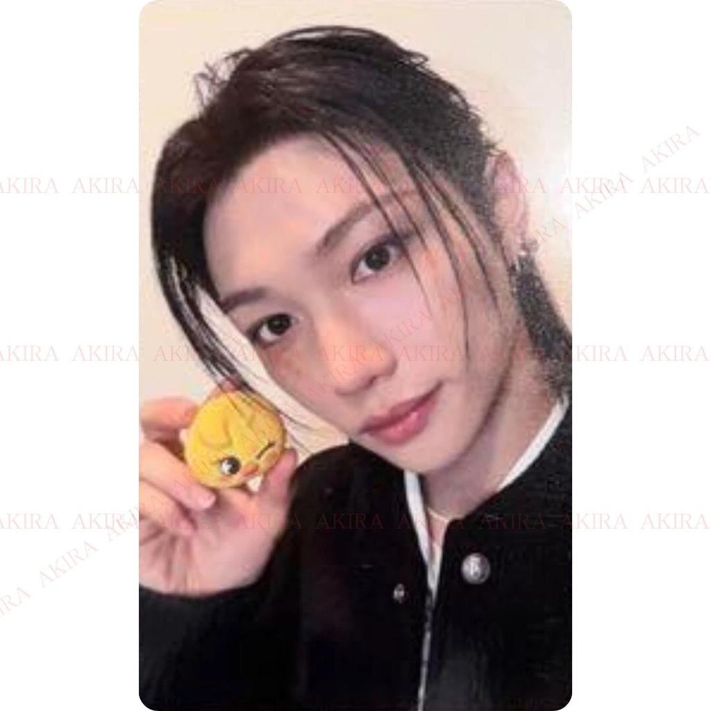 Stray Kids SKZOO TAMAGOTCHI MD BENEFITS PHOTO CARD OFFICIAL