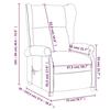 VidaXL Fauteuil Inclinable, Siège avec Accoudoirs et Dossier, Chaise de Relaxation avec Repose-pied, Meuble de Salon, 340949