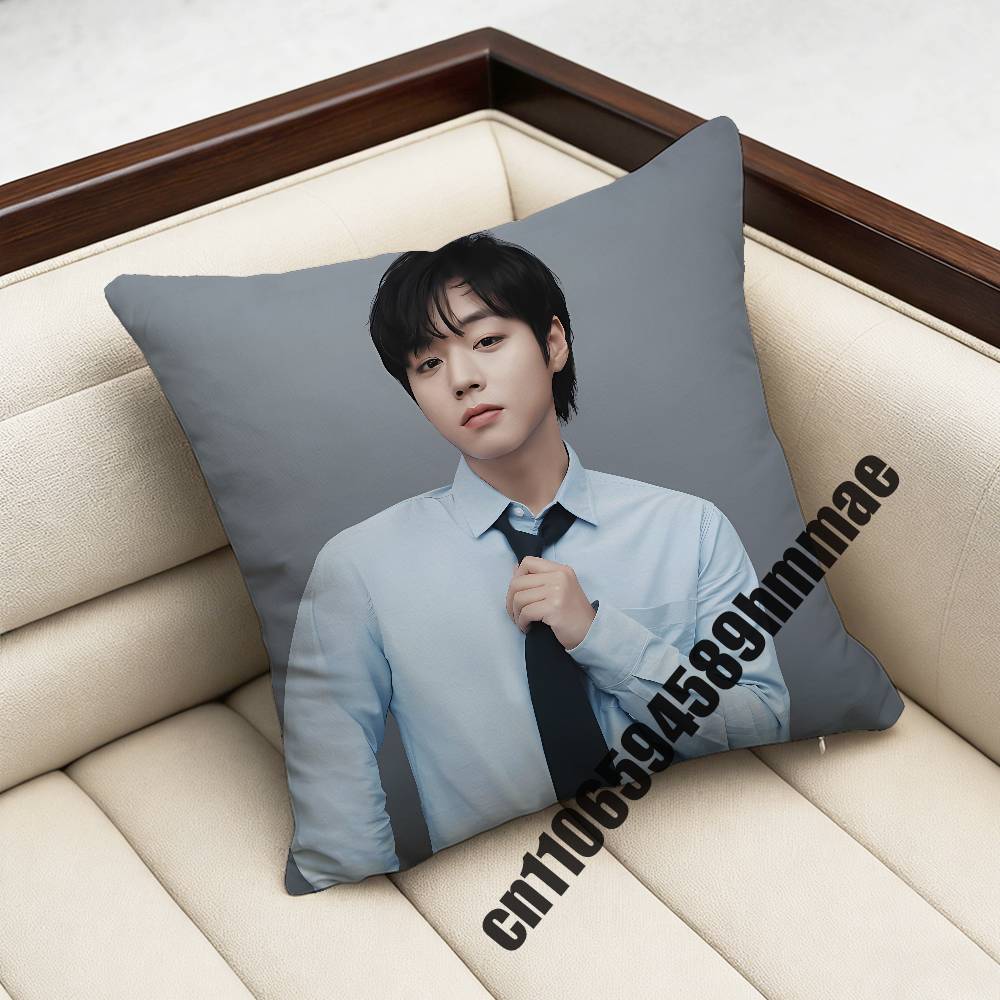 For Singer Actor PPark Ji Hoon Throw Pillow Case Sham Xcm Decoration Square Sofa Pillowcase Pad Cover