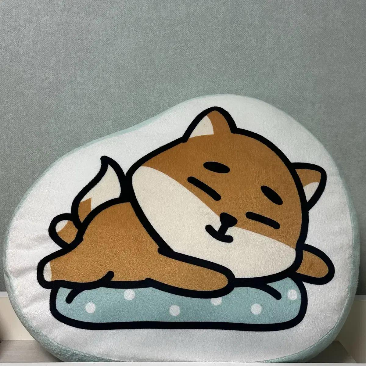 DAY6 Подростковые кроссовки Ancon Md Ke