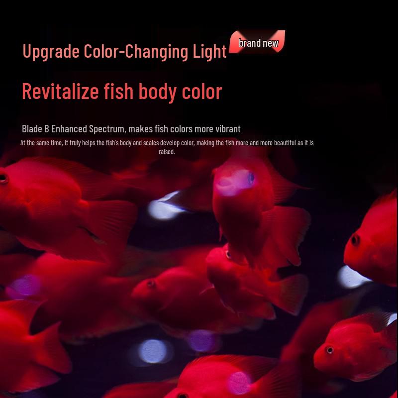 Ji Yin Waterproof LED Light for Native Fish Tanks, Algae Control, Submersible Stream Tank Lighting