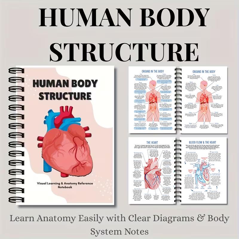 Global Human Anatomy Guide: Study Notes