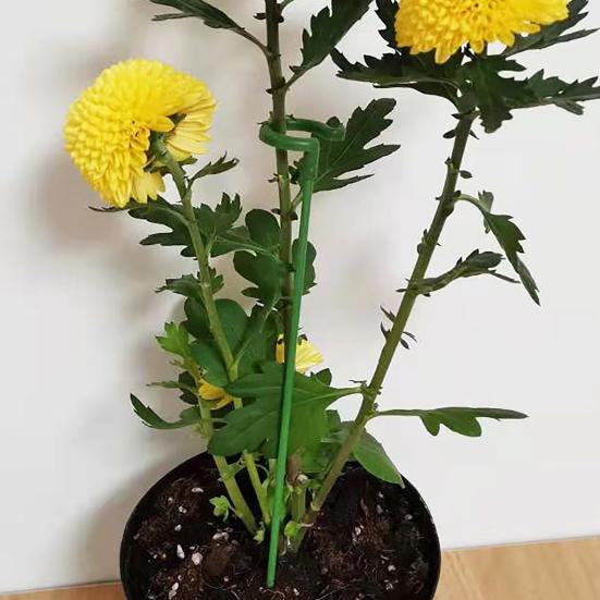 10 Peças Suporte para Planta em Vaso Universal Bom Suporte Leve Girassol Vegetais Haste de Fibra de Vidro para Jardim