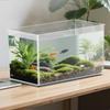 Small Aquarium Betta Tank Frameless Extra Clear Bowl For Crab Spider Terrariums Mini Habitat Temporary Space Men Nature Lovers