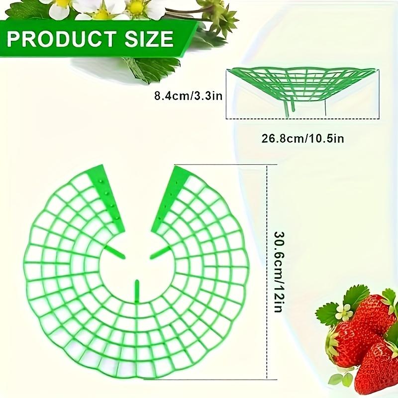 30pcs Durable Green Plastic Strawberry Plant Support Stands | Gardening Trellises for Safe and Healthy Strawberry Development | Home Gardening