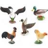 Detailed Pvc Models Of Farm Poultry Ducks Geese Roosters And Hens For Educational Play