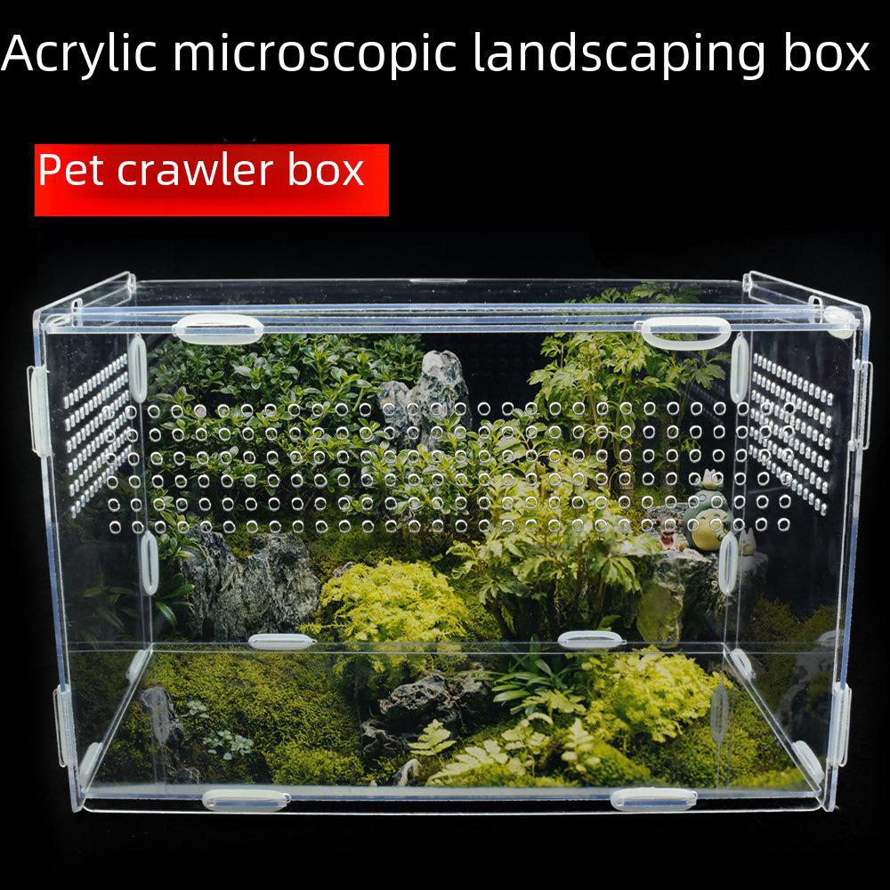 Clear Acrylic Reptile Breeding Box for Tortoise, Lizard, Spider, Hedgehog, Frog