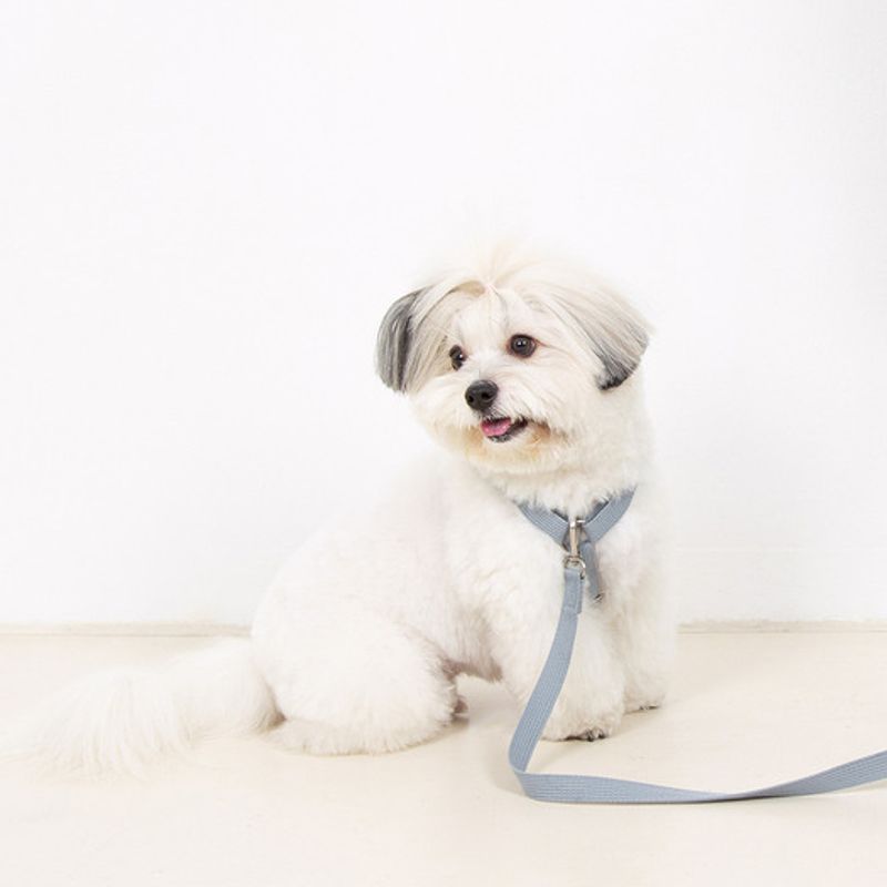 Foreverybari Harness Set (ice Gray)