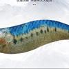 Oeny Luminous Wooden Shrimp Squid Jig