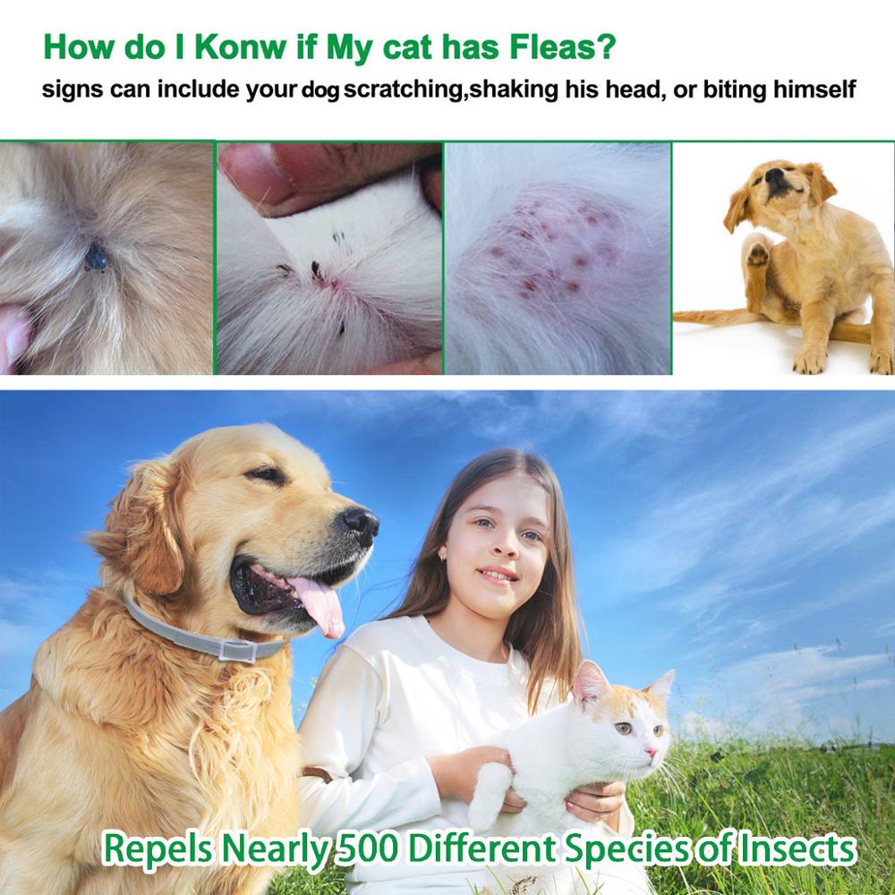 Silicone 8 Month Protection Anti-mosquitoes Flea And Tick Collar Insect Repellent Dogs Collar Cats