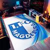 FCM Legacy Carpet Rug for Living Room Bedroom Home Sofa Decoration,Kids play Nonslip Floor Mat