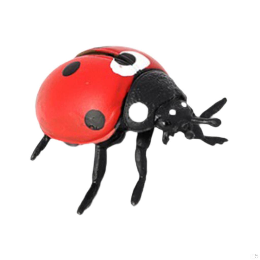 Animal Life Cycle Educational Toys for Science Learning