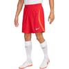 Nike Dri FIT ADV Vapor 4 Casual Shorts Men's DR0952-657