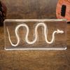 Snake Skeleton Specimen Gothic Natural Science Decor Home Office Desk Curiosity Ornament Acrylic Material Special Gift