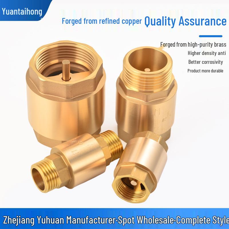 Brass One-Way Lift Check Valve & Backflow Preventer for Water Systems