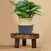 Wooden Plant Stand Flower Pot Base Holder Stool Garden Flower Display