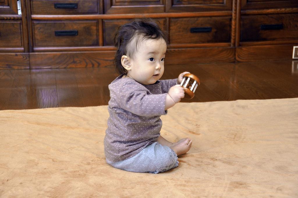 Sakai Sangyo Forest Roller Baby Made in Shake and First Natural Gift (Brown) Toy, Japan, Roll, Baby's Toy, Wooden, Color,