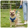 Cães – Colares e correias para cães