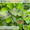 Ruokey Oniyanma Insect Repellent, 2 Dragonflies, 12cm, Realistic Dragonfly Repellent, Pest Repellent, Realistic Dragonfly Repellent, Comes with Strap